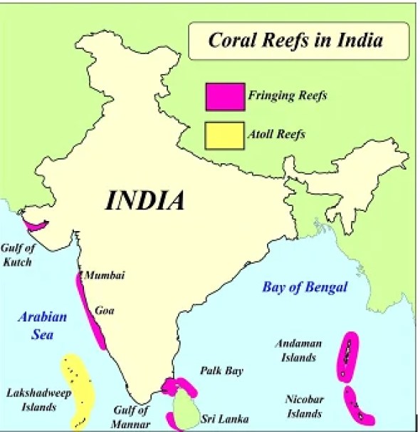 Location And Distribution Of Coral Reefs